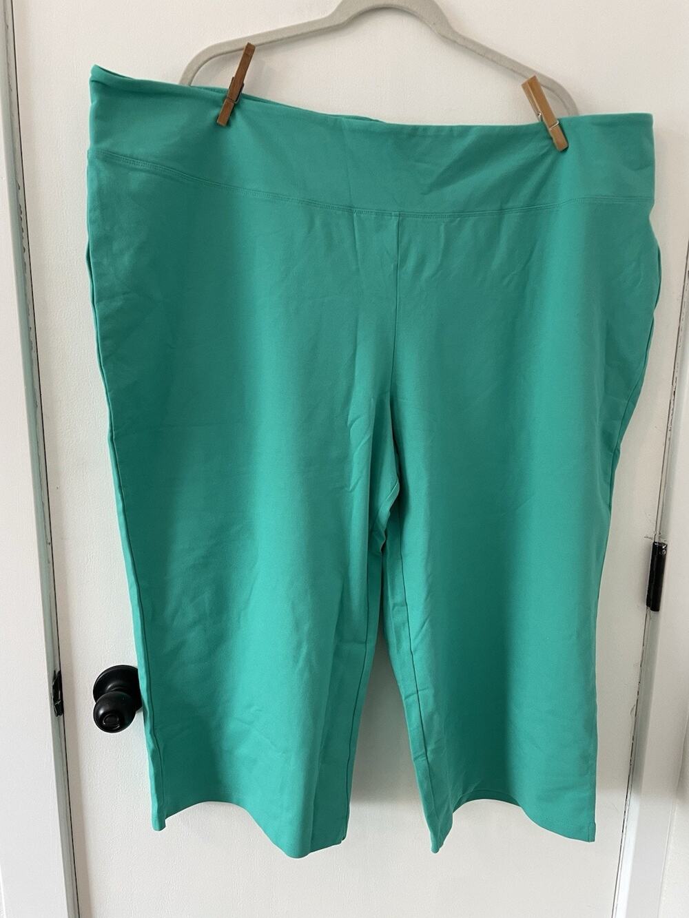 Women with Control Petite Tummy Control Full Leg Crop Pants Teal 3XP A513651 E6